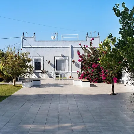 Beautiful Traditional House